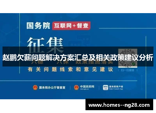 赵鹏欠薪问题解决方案汇总及相关政策建议分析 赵鹏欠薪问题解决方案汇总及相关政策建议分析