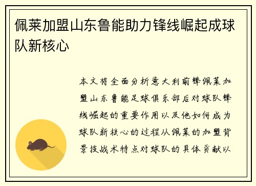 佩莱加盟山东鲁能助力锋线崛起成球队新核心