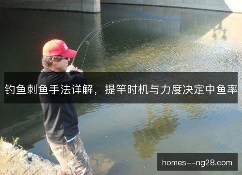 钓鱼刺鱼手法详解，提竿时机与力度决定中鱼率